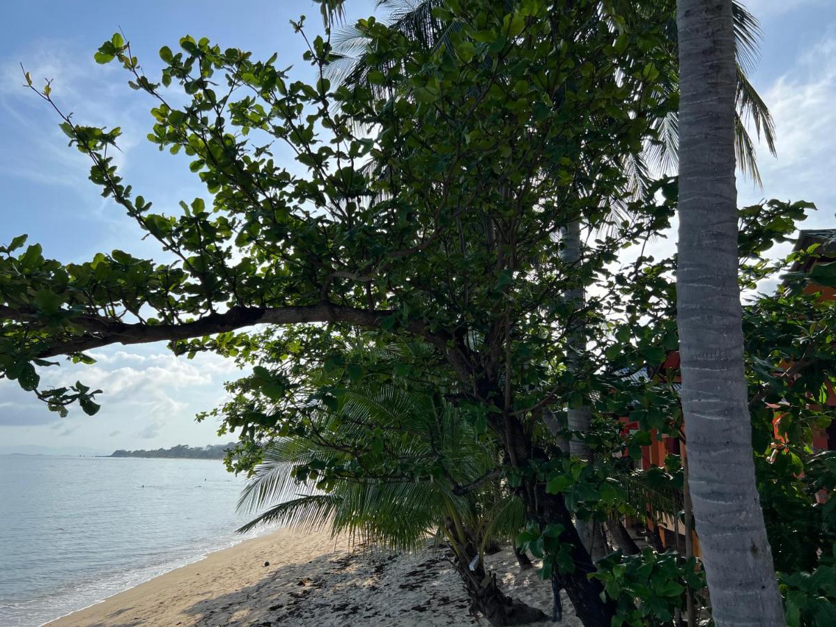 Wish Bungalow Koh Samui Buitenkant foto